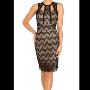 NWOT Guess Black lace cutout w nude underlay cocktail dress
